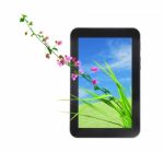Flower And Grass On Tablet PC Stock Photo