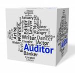 Auditor Job Indicating Actuary Occupations And Auditors Stock Photo