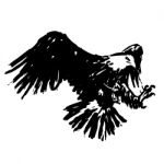 Freehand Sketch Illustration Of Eagle, Hawk Bird Stock Photo