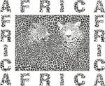 Background Leopard And Text Africa Stock Photo