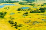 Okavango Delta Aerial View Stock Photo