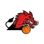 Wild Boar Basketball Mascot Stock Photo
