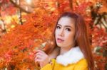 Young Woman With Autumn Leaves In Maple Garden Stock Photo