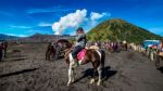 Java,indonesia-arpil 24,2017 : A Horseman At Mount Bromo Of Bromo-tengger-semeru National Park In Indonesia Stock Photo