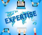 Business Expertise Represents Skill Web And Corporation Stock Photo