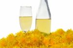 Dandelion Wine Stock Photo