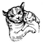 Cat And Kitten Hand Drawn Stock Photo