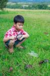 Young Boy Exploring Nature With Magnifying Glass. Outdoors In Th Stock Photo
