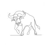 African Buffalo Continuous Line Stock Photo