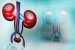 Digital Illustration Of Kidney In Colour Background Stock Photo