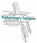 Veterinary Surgeon Meaning General Practitioner And Text Stock Photo