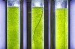 Photobioreactor In Lab Algae Fuel Bio-fuel Stock Photo