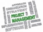3d Image Project Management Issues Concept Word Cloud Background Stock Photo