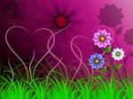 Flowers Background Shows Colorful Pretty And Natural World
 Stock Photo
