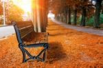 Empty Bench In The Autumnal Park Stock Photo