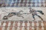 Paphos, Cyprus/greece - July 22 : Ancient Mosaic Near The House Stock Photo