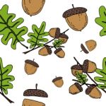 Acorn Seamless Pattern By Hand Drawing On White Backgrounds Stock Photo
