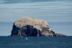 View Of Bass Rock Stock Photo