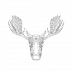 Bull Moose Head Doodle Stock Photo