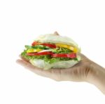 Salad Burger Stock Photo