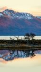 Autumn In Patagonia. Tierra Del Fuego, Beagle Channel And Chilea Stock Photo