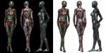 3d Render Illustration Of Female Body Stock Photo