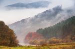 Autumn Rain And Fog In The Mountains. Colorful Autumn Forest Bac Stock Photo