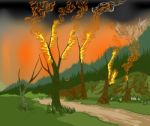Forest Fire Stock Photo