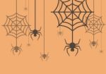 Halloween Background Spider With Cobweb Stock Photo