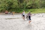 People With Bicycles Are Crossing Rio Cano Negro In Costa Rica Stock Photo