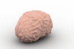 Human Brain 3d Model Stock Photo