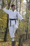 Karate In Forestry Stock Photo