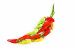 Colorful Chili Stock Photo