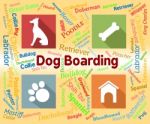 Dog Boarding Represents Pets Vacation And Puppy Stock Photo
