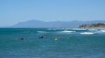 Cabo Pino, Andalucia/spain - July 2 : People Surfing At Cabo Pin Stock Photo