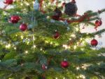 Beautiful Christmas Tree Stock Photo