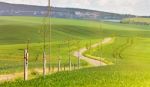 Road In A Green Spring Farmland. Sunny Rural Spring Landscape Stock Photo