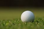 Golf Ball On Green Grass Stock Photo