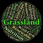 Grassland Word Means Grasslands Grassy And Field Stock Photo