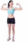 Healthy Fit Beautiful Slim Lady Stock Photo