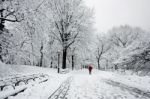 Man Walking In Snow Storm Stock Photo