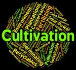 Cultivation Word Shows Growth Farm And Text Stock Photo