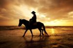 Man And Horse On The Beach With Sunset Stock Photo