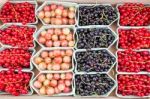 Fruit Trays With Blackberries Currants And Gooseberries Stock Photo