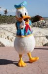 Orlando, Fl- Feb 5:  Donald Duck Dressed As A Captain Walking Ar Stock Photo