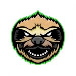 Angry Sloth Mascot Stock Photo
