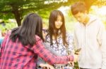 Group Of Asian Teenager Walking In The Park And Enjoyed Watching Video From Smartphone Stock Photo
