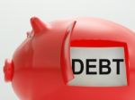 Debt Piggy Bank Means Arrears And Money Owed Stock Photo