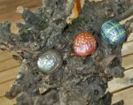 Hand Painted Walnuts Shells Stock Photo