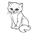 Cat Kitten Hand Drawn Stock Photo